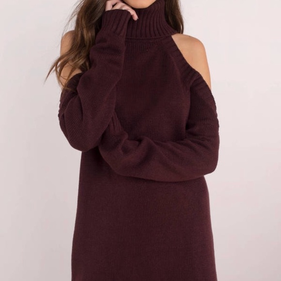 Tobi Dresses & Skirts - Turtleneck Sweater Dress!!